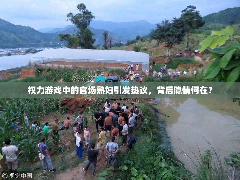 权力游戏中的官场熟妇引发热议，背后隐情何在？