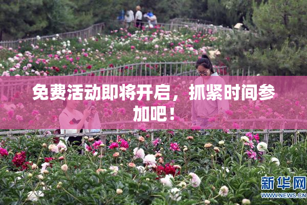免费活动即将开启，抓紧时间参加吧！