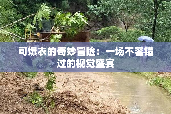 可爆衣的奇妙冒险：一场不容错过的视觉盛宴
