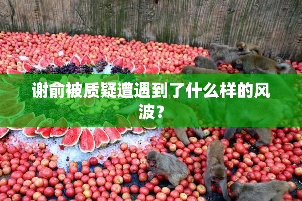 谢俞被质疑遭遇到了什么样的风波？