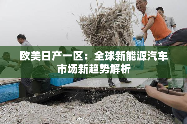 欧美日产一区：全球新能源汽车市场新趋势解析