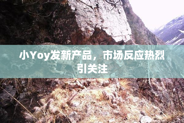 小Yoy发新产品，市场反应热烈引关注