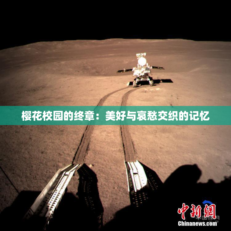 樱花校园的终章：美好与哀愁交织的记忆