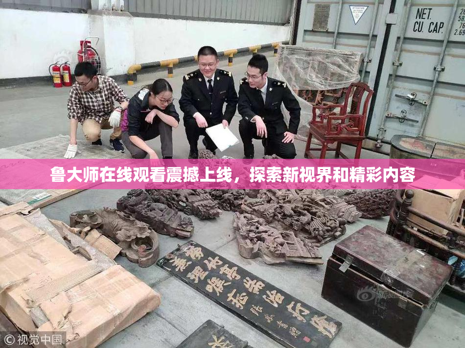 鲁大师在线观看震撼上线，探索新视界和精彩内容