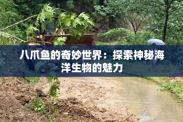 八爪鱼的奇妙世界：探索神秘海洋生物的魅力