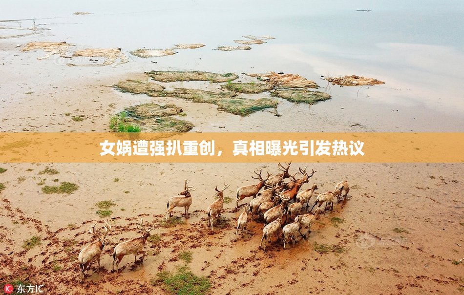 女娲遭强扒重创，真相曝光引发热议
