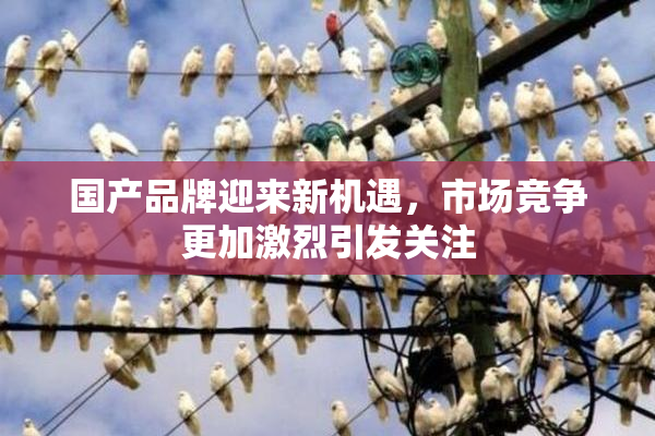 国产品牌迎来新机遇，市场竞争更加激烈引发关注