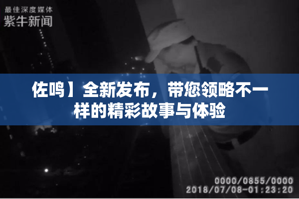 佐鸣】全新发布，带您领略不一样的精彩故事与体验