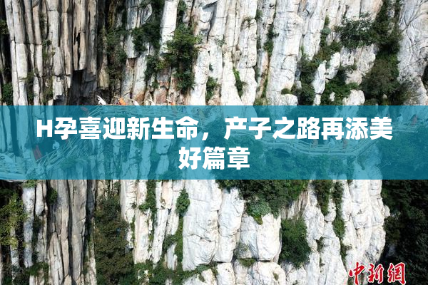 H孕喜迎新生命，产子之路再添美好篇章