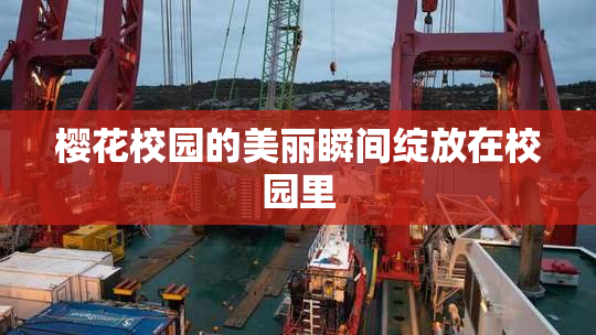 樱花校园的美丽瞬间绽放在校园里