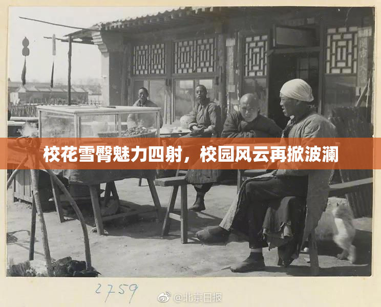 校花雪臀魅力四射，校园风云再掀波澜