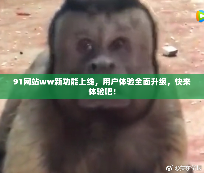 91网站ww新功能上线，用户体验全面升级，快来体验吧！