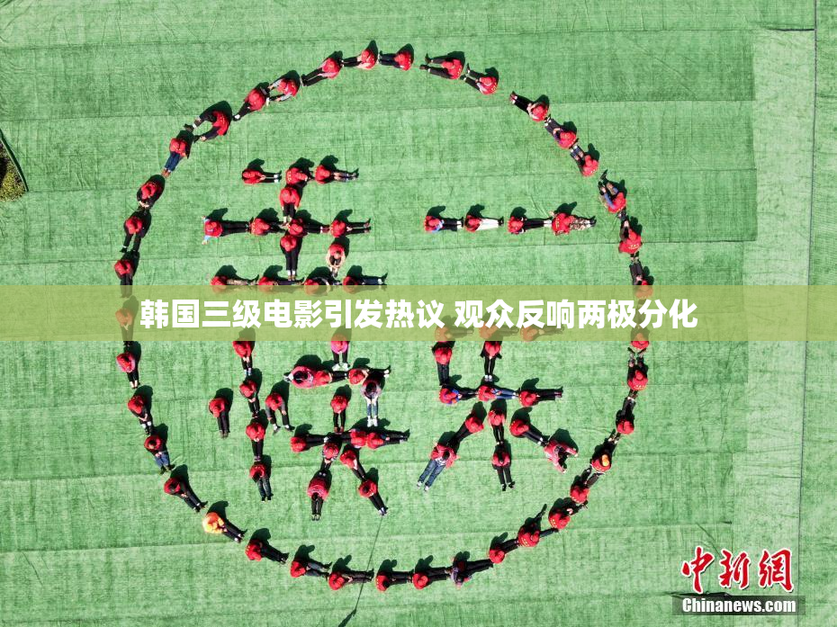 韩国三级电影引发热议 观众反响两极分化