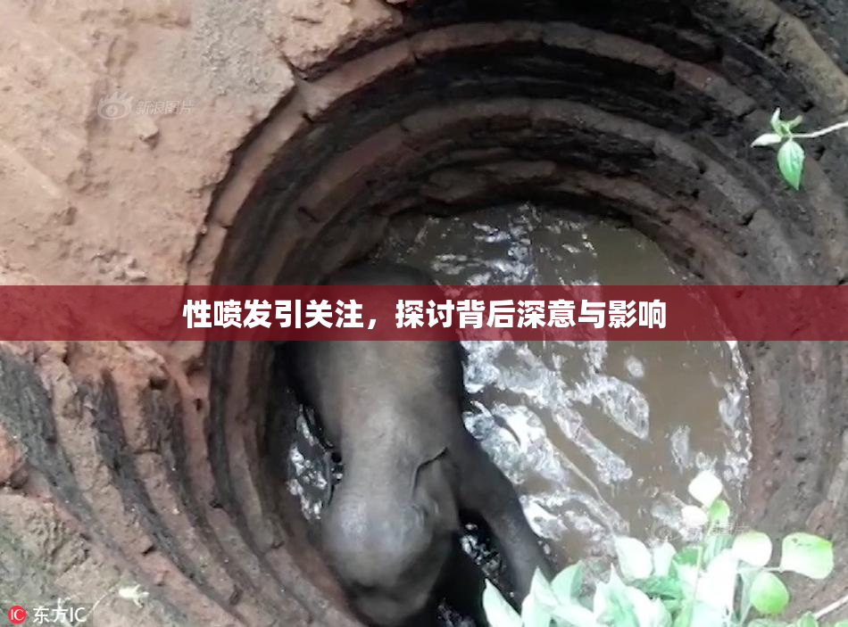 性喷发引关注，探讨背后深意与影响