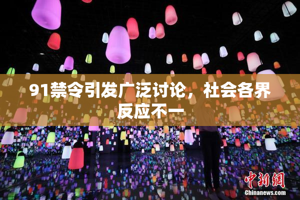 91禁令引发广泛讨论，社会各界反应不一
