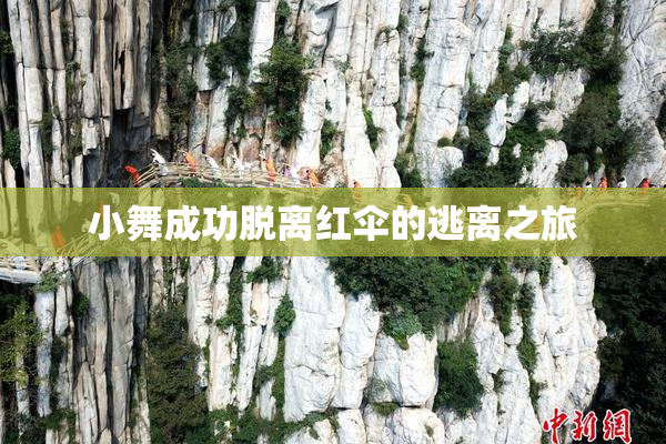 小舞成功脱离红伞的逃离之旅