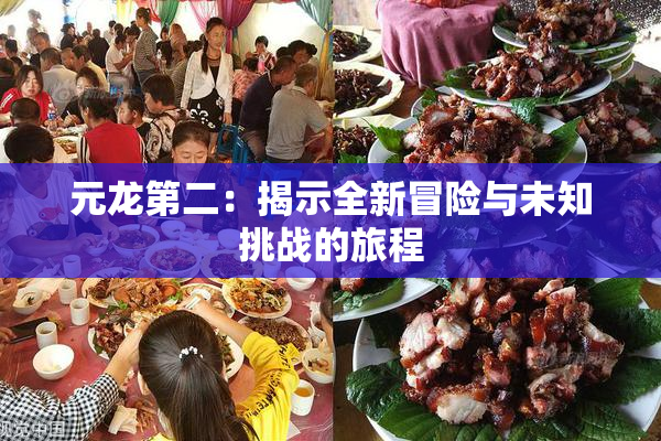 元龙第二：揭示全新冒险与未知挑战的旅程