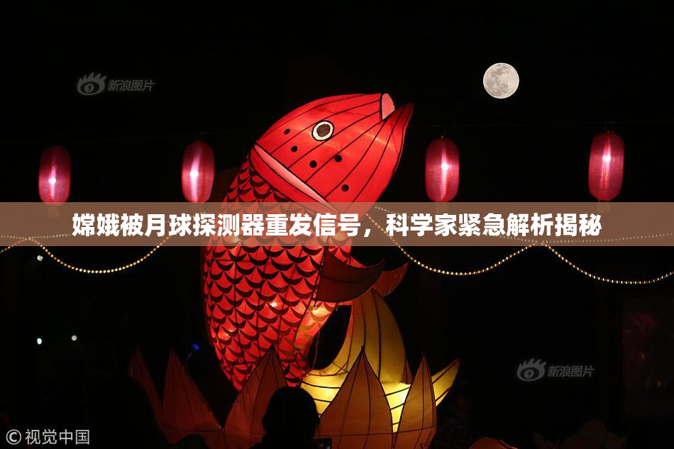 嫦娥被月球探测器重发信号，科学家紧急解析揭秘