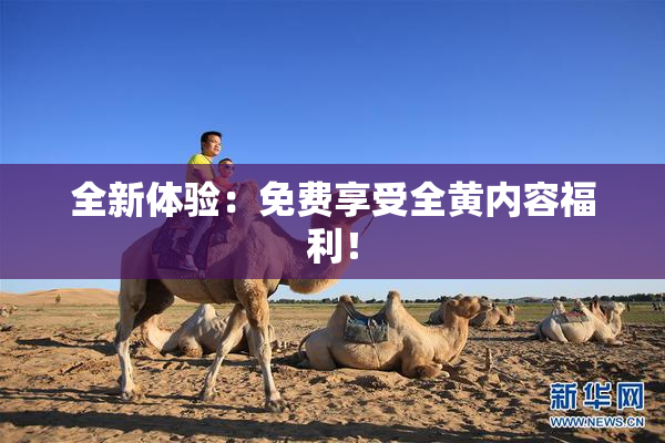 全新体验：免费享受全黄内容福利！