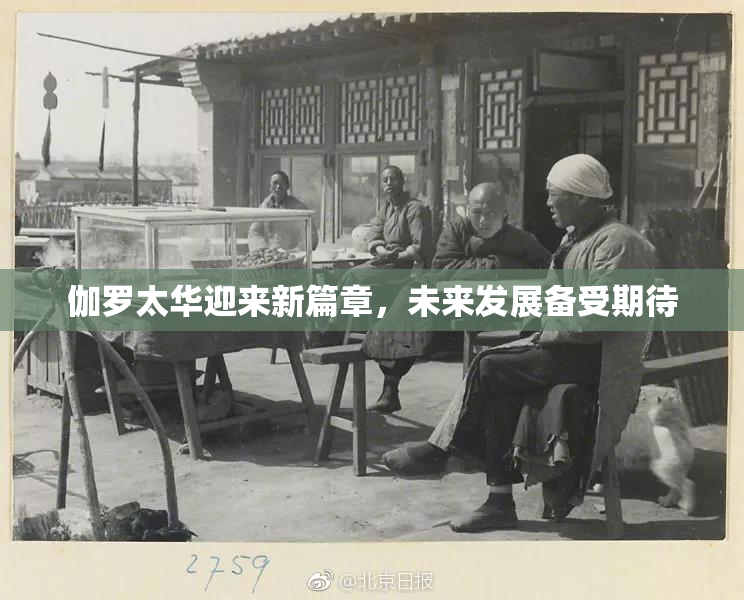 伽罗太华迎来新篇章，未来发展备受期待