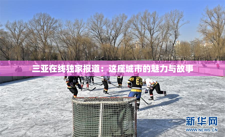 三亚在线独家报道：这座城市的魅力与故事