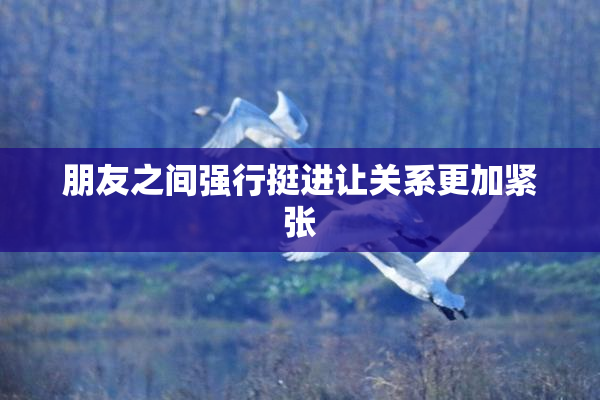 朋友之间强行挺进让关系更加紧张