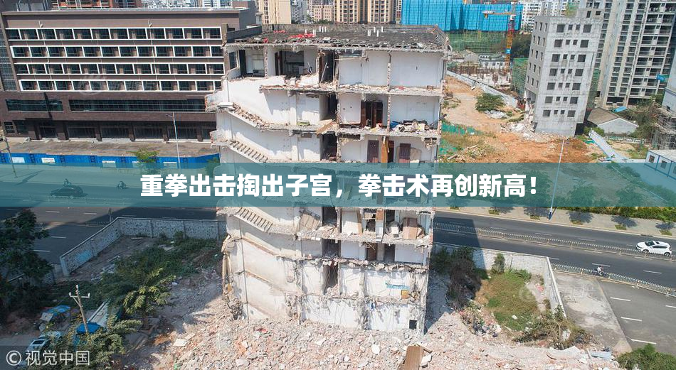 重拳出击掏出子宫，拳击术再创新高！