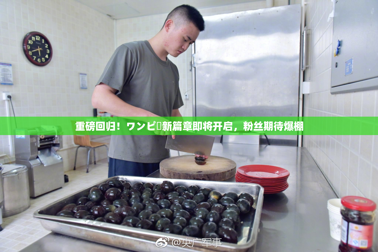 重磅回归！ワンピー新篇章即将开启，粉丝期待爆棚