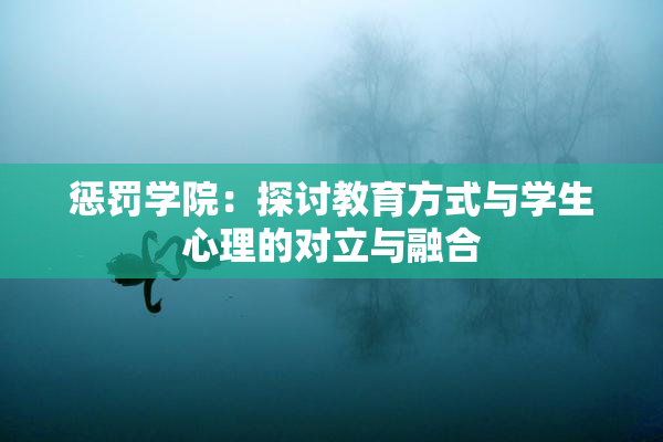 惩罚学院：探讨教育方式与学生心理的对立与融合