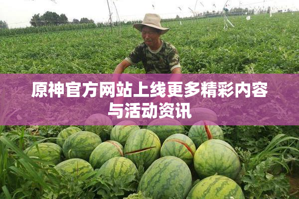 原神官方网站上线更多精彩内容与活动资讯