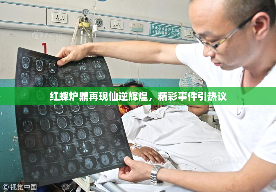 红蝶炉鼎再现仙逆辉煌，精彩事件引热议