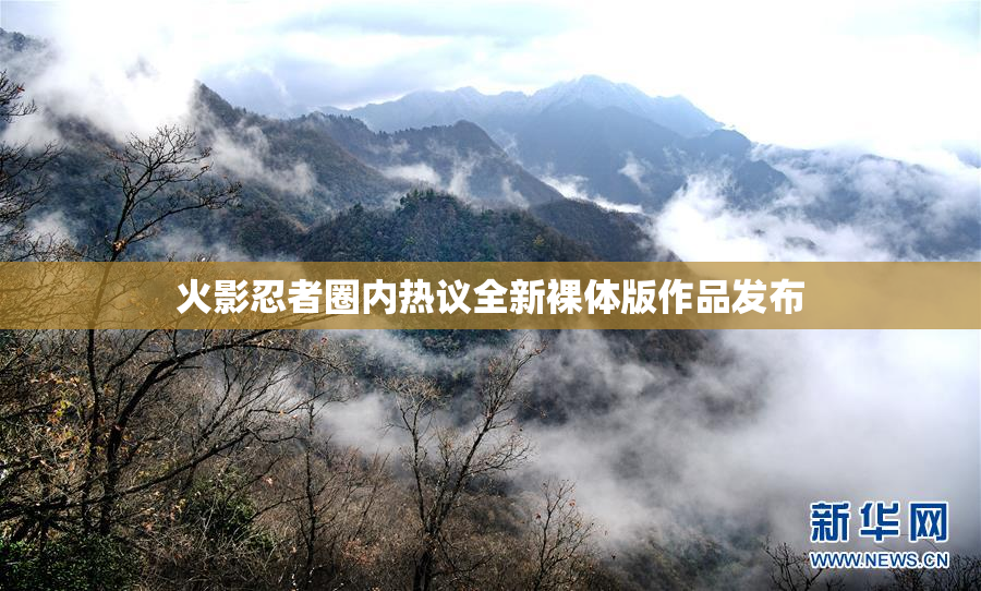 火影忍者圈内热议全新裸体版作品发布