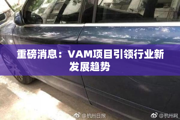 重磅消息：VAM项目引领行业新发展趋势