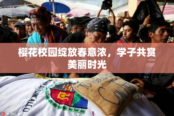 樱花校园绽放春意浓，学子共赏美丽时光