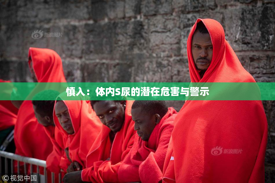 慎入：体内S尿的潜在危害与警示