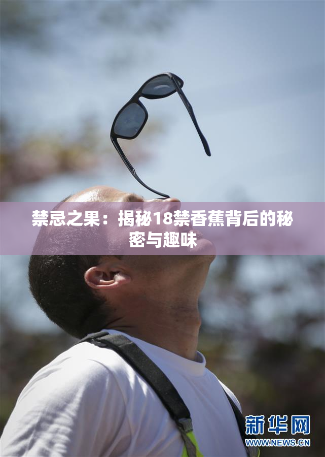 禁忌之果：揭秘18禁香蕉背后的秘密与趣味