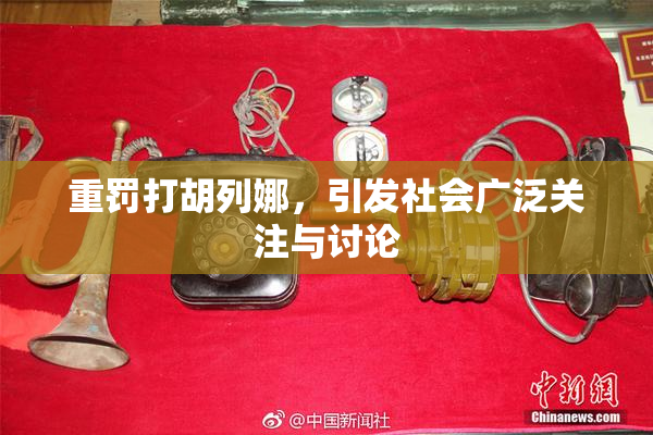 重罚打胡列娜，引发社会广泛关注与讨论