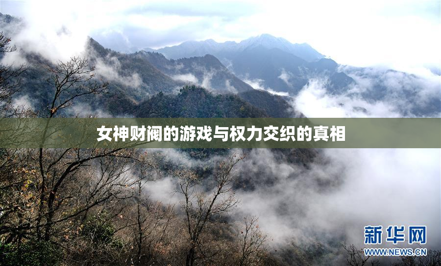 女神财阀的游戏与权力交织的真相