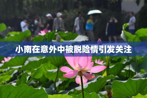 小南在意外中被脱险情引发关注
