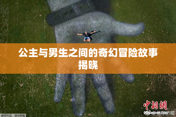 公主与男生之间的奇幻冒险故事揭晓