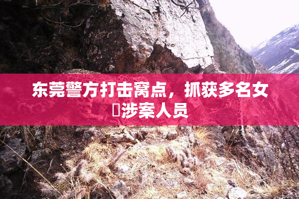 东莞警方打击窝点，抓获多名女婬涉案人员