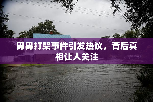 男男打架事件引发热议，背后真相让人关注