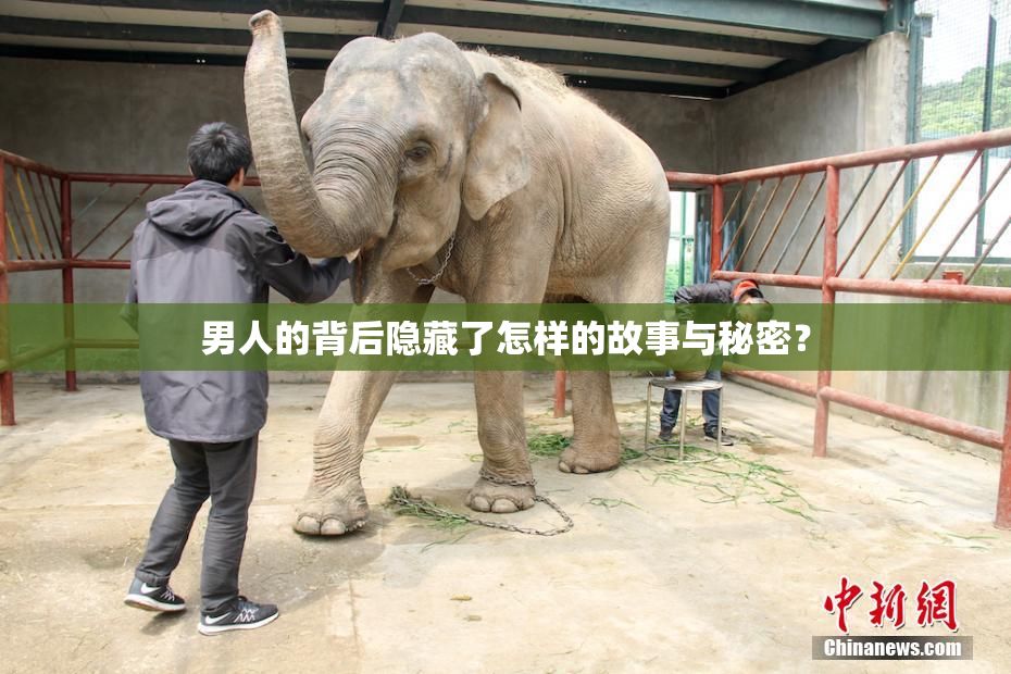 男人的背后隐藏了怎样的故事与秘密？