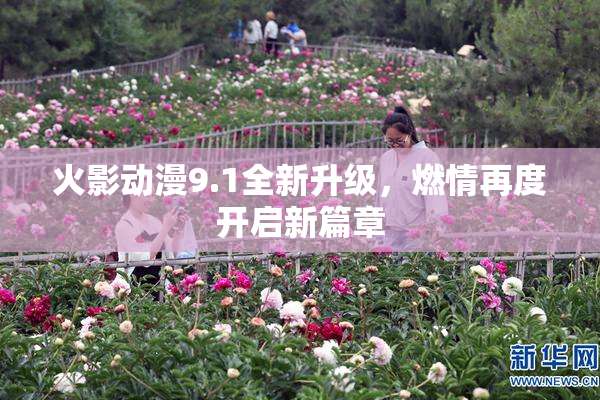 火影动漫9.1全新升级，燃情再度开启新篇章