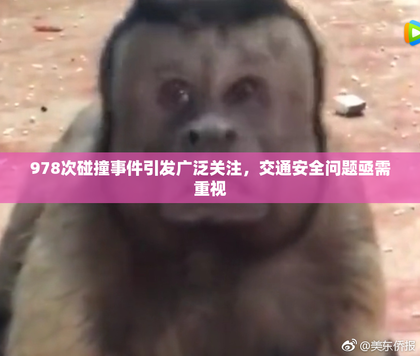 978次碰撞事件引发广泛关注，交通安全问题亟需重视