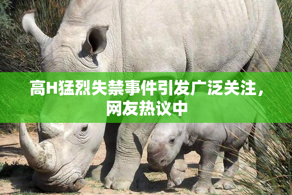 高H猛烈失禁事件引发广泛关注，网友热议中
