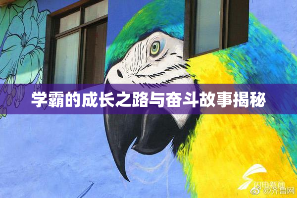 学霸的成长之路与奋斗故事揭秘