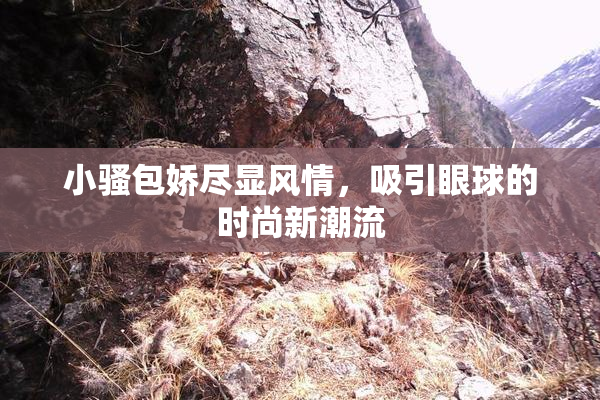 小骚包娇尽显风情，吸引眼球的时尚新潮流