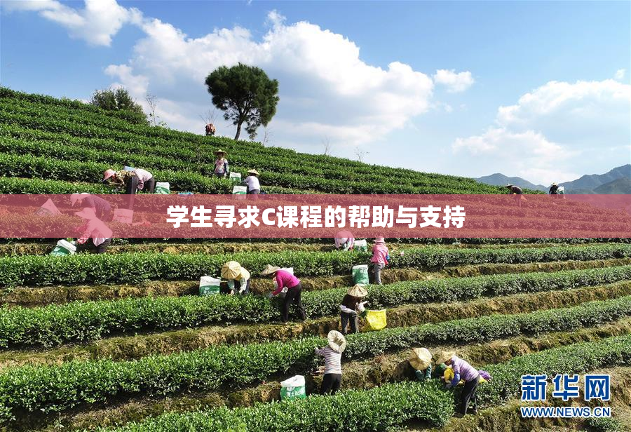 学生寻求C课程的帮助与支持