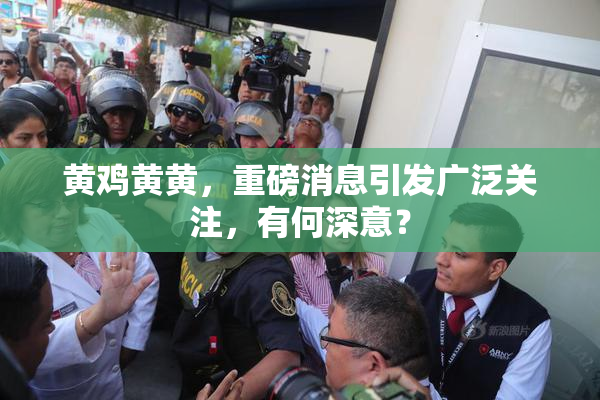 黄鸡黄黄，重磅消息引发广泛关注，有何深意？